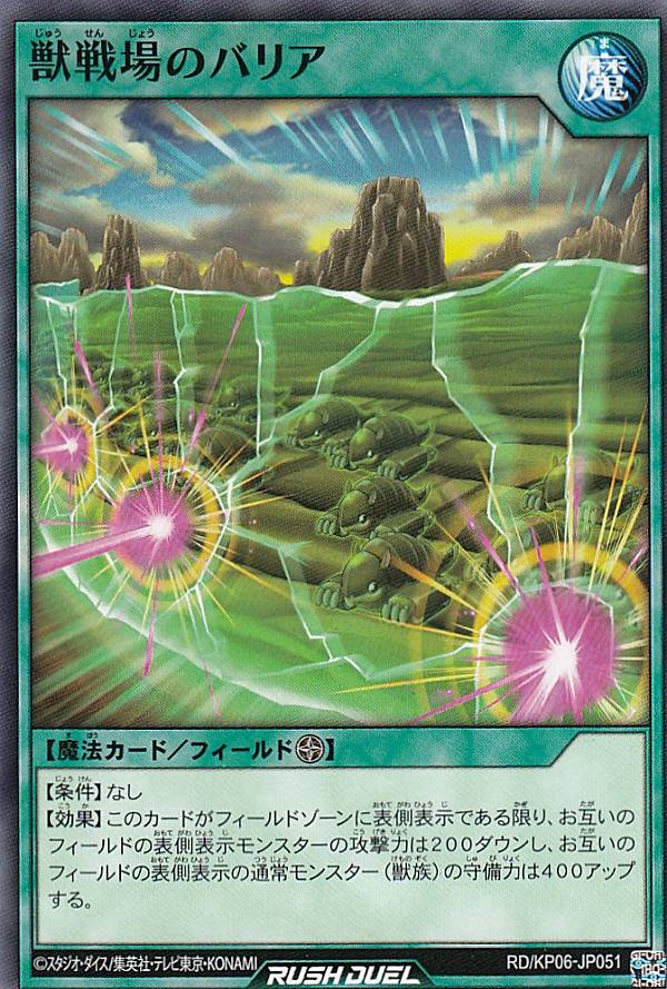 ͷ åǥ奨 RD/KP06-JP051 ΥХꥢ (ܸ Ρޥ) ǥå¤ѥåƮΥȡ!!