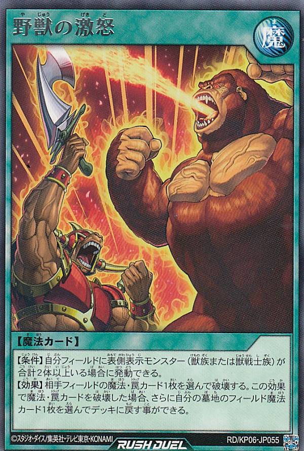 ͷ åǥ奨 RD/KP06-JP055 äη (ܸ 쥢) ǥå¤ѥåƮΥȡ!!