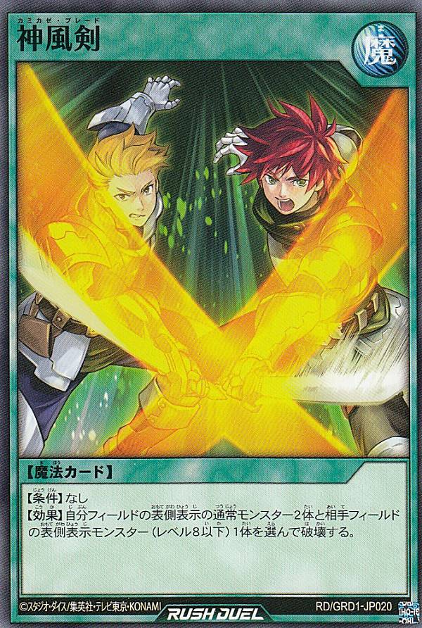 REALiZEۥӡȥ쥫2Ź㤨ͷ åǥ奨 RD/GRD1-JP020  (ܸ Ρޥ åǥå 饯ƥ饤֡פβǤʤ30ߤˤʤޤ