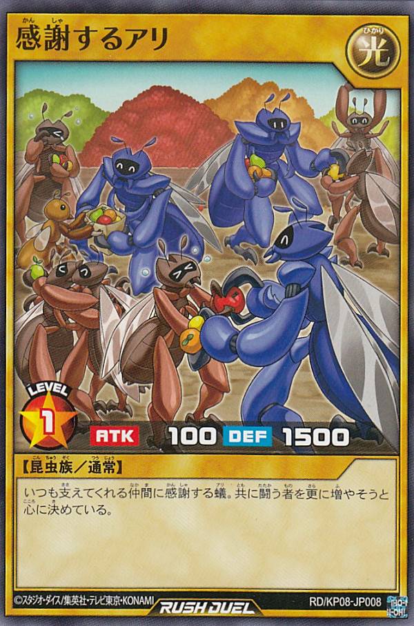 ͷ åǥ奨 RD/KP08-JP008 դ륢 (ܸ Ρޥ) ǥå¤ѥå ¤Υޥ!!