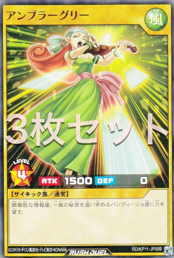 3祻åȡͷ åǥ奨 RD/KP11-JP009 ץ顼꡼ (ܸ Ρޥ) ǥå¤ѥå Υե...