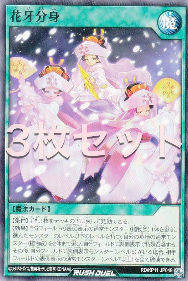 3祻åȡͷ åǥ奨 RD/KP11-JP049 ֲʬ (ܸ Ρޥ) ǥå¤ѥå Υեƥ!...