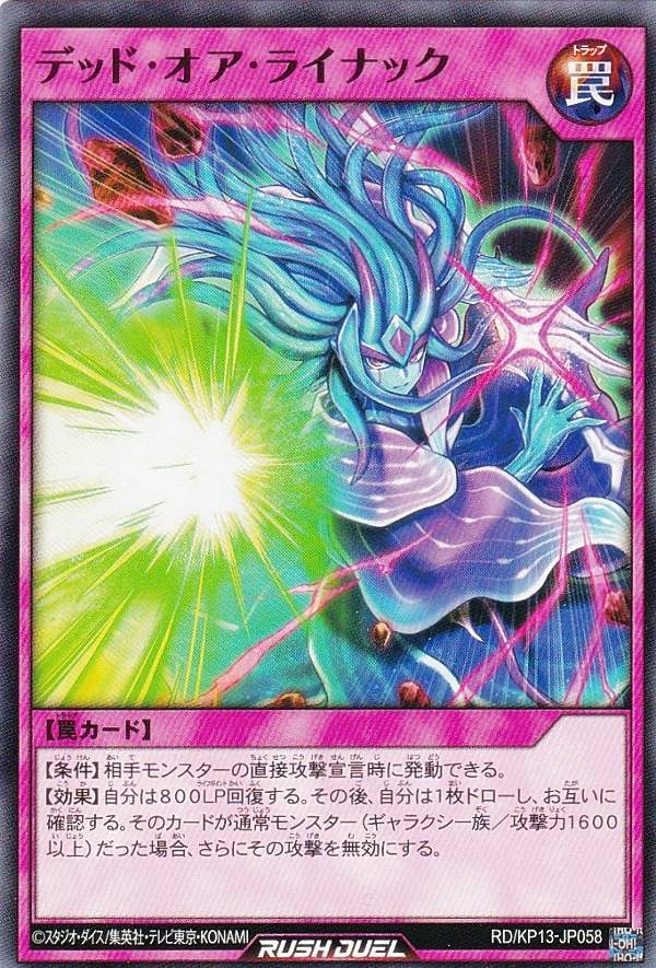 ͷ åǥ奨 RD/KP13-JP058 ǥåɡ饤ʥå (ܸ Ρޥ) Υ֥ӥ