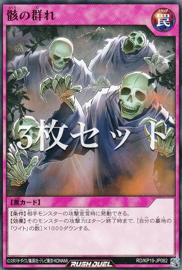3祻åȡͷ åǥ奨 RD/KP19-JP062 η (ܸ Ρޥ) ǮΥޥǥ