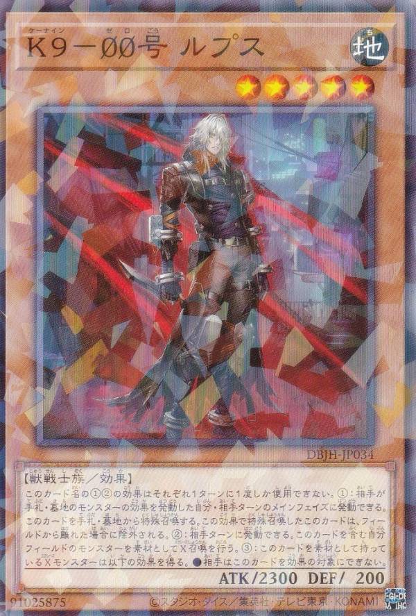 REALiZEۥӡȥ쥫2Ź㤨ͷ DBJH-JP034 K900 ץ (ܸ Ρޥѥ ǥåӥɥѥå 㥹ƥϥ󥿡פβǤʤ70ߤˤʤޤ