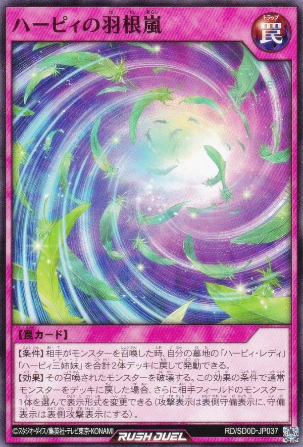 REALiZEۥӡȥ쥫2Ź㤨ͷ åǥ奨 RD/SD0D-JP037 ϡԥα (ܸ Ρޥ ȥ饯㡼ǥå ϡԥǥפβǤʤ30ߤˤʤޤ