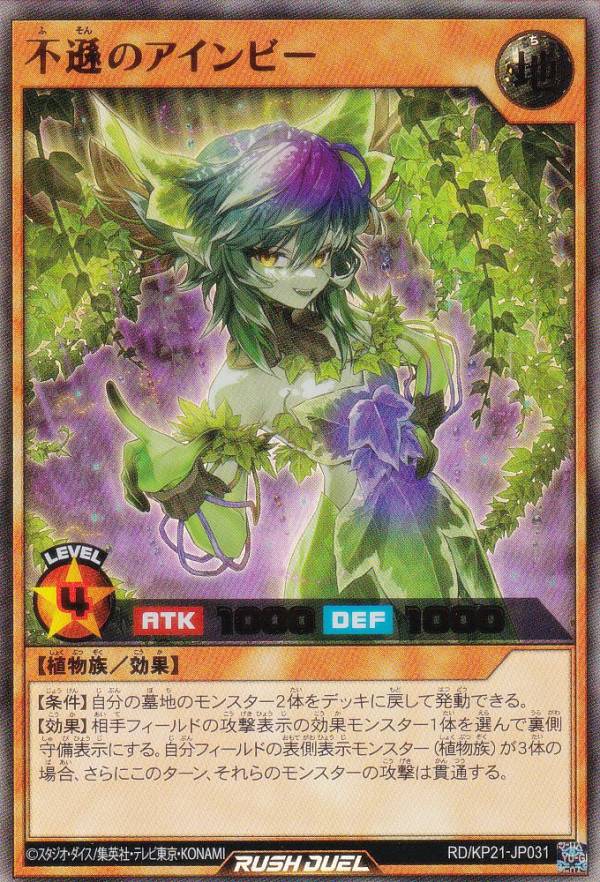 ͷ åǥ奨 RD/KP21-JP031 ½Υӡ (ܸ ȥ쥢) ʷΥ