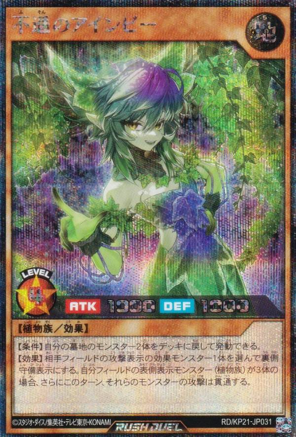 ͷ åǥ奨 RD/KP21-JP031 ½Υӡ (ܸ åȥ쥢) ʷΥ