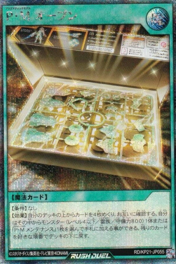 ͷ åǥ奨 RD/KP21-JP055 PM ץ (ܸ åȥ쥢) ʷΥ