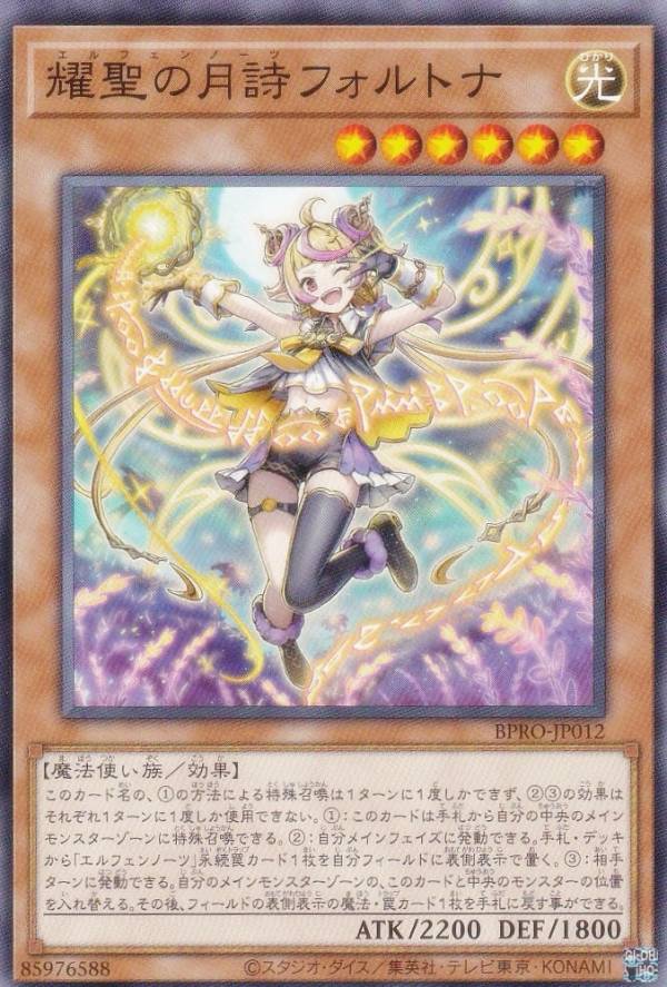 ͷ���� BPRO-JP012 �����η���ե���ȥ� (���ܸ��� �Ρ��ޥ�) �С����ȡ��ץ��ȥ���