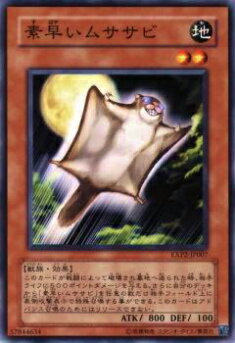 REALiZEۥӡȥ쥫2Ź㤨֡ڥץ쥤ѡͷ EXP2-JP007 ᤤॵ(ܸ ΡޥšۡפβǤʤ30ߤˤʤޤ