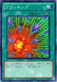 REALiZEۥӡȥ쥫2Ź㤨֡ڥץ쥤ѡͷ GENF-JP052 å(ܸ ΡޥšۡפβǤʤ30ߤˤʤޤ