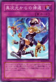 ڥץ쥤ѡͷ SD14-JP031 ۼε(ܸ Ρޥ) š