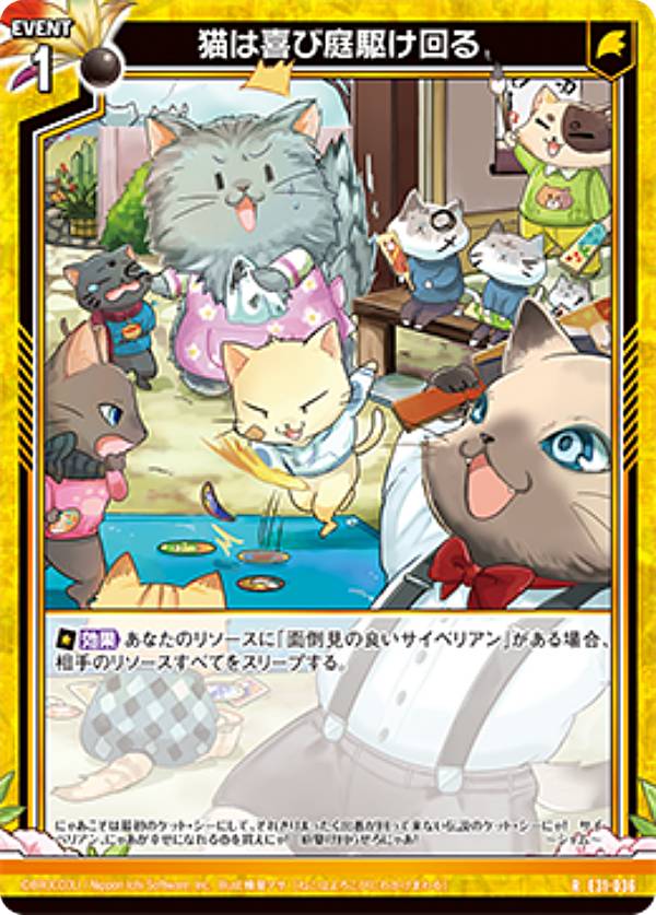  Z/X E31-036 ǭϴ (R 쥢) EXѥå 31  (E-31)