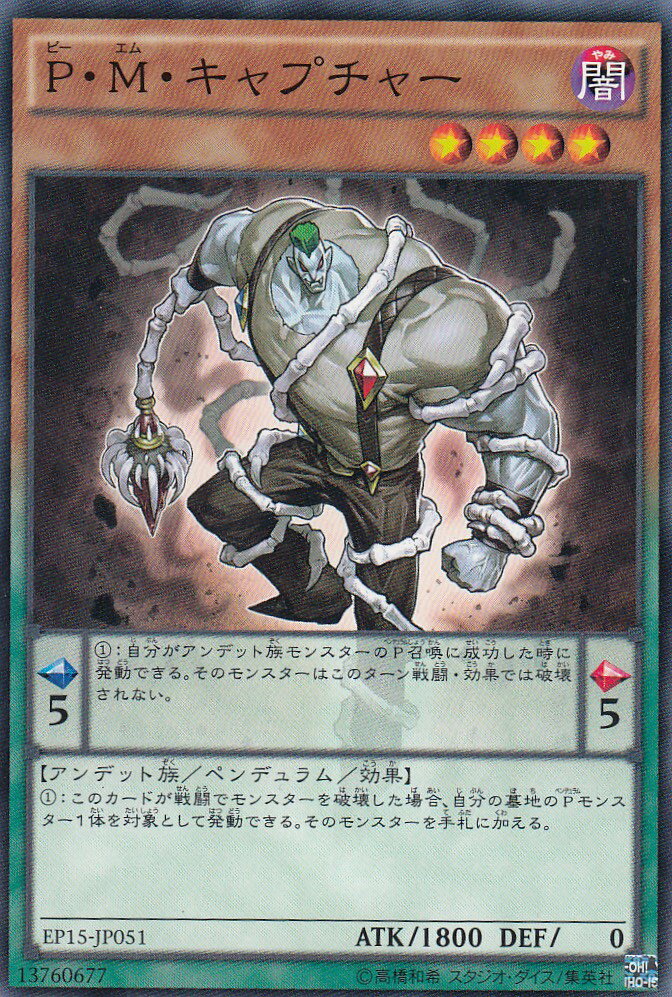 ڥץ쥤ѡͷ EP15-JP051 PMץ㡼(ܸ Ρޥ)š