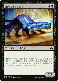 マジックザギャザリング MTG RIX JP 063 運河のオオトカゲ(日本語版コモン)【新品】