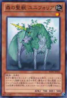 REALiZE ȥ쥫ۥӡŷԾŹ㤨֡ڥץ쥤ѡͷ REDU-JP031  ˥եꥢ(ܸ - ΡޥšۡפβǤʤ35ߤˤʤޤ