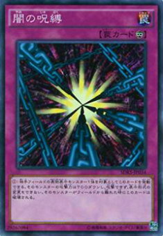 ڥץ쥤ѡͷ SDKS-JP034 Ǥμ(ܸ Ρޥ)š