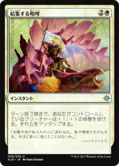 マジックザギャザリング MTG XLN JP 030 結集する咆哮(日本語版アンコモン)【新品】