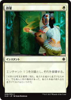 マジックザギャザリング MTG XLN JP 008 啓蒙(日本語版コモン)【新品】