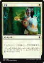 マジックザギャザリング MTG XLN JP 008 啓蒙(日本語版コモン)【新品】