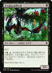 マジックザギャザリング MTG XLN JP 092 立ち枯れの守り手(日本語版コモン)【新品】