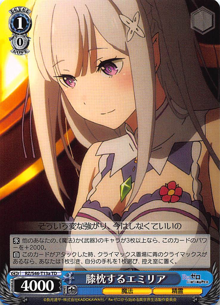 ������������������ RZ/S46-T13a ɨ�����륨�ߥꥢ(TD)�ڿ��ʡ�