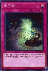 遊戯王 SD32-JP037 量子猫(日本語版 ノ