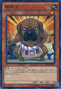 【プレイ用】遊戯王 RATE-JP031 横綱犬(日本語版 ノーマル)【中古】 レイジング・テンペスト