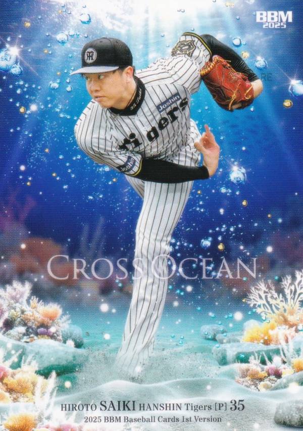 野球 BBMカード 阪神タイガース フルコンプリートセット/全132種】BBM 阪神タイガース 2024