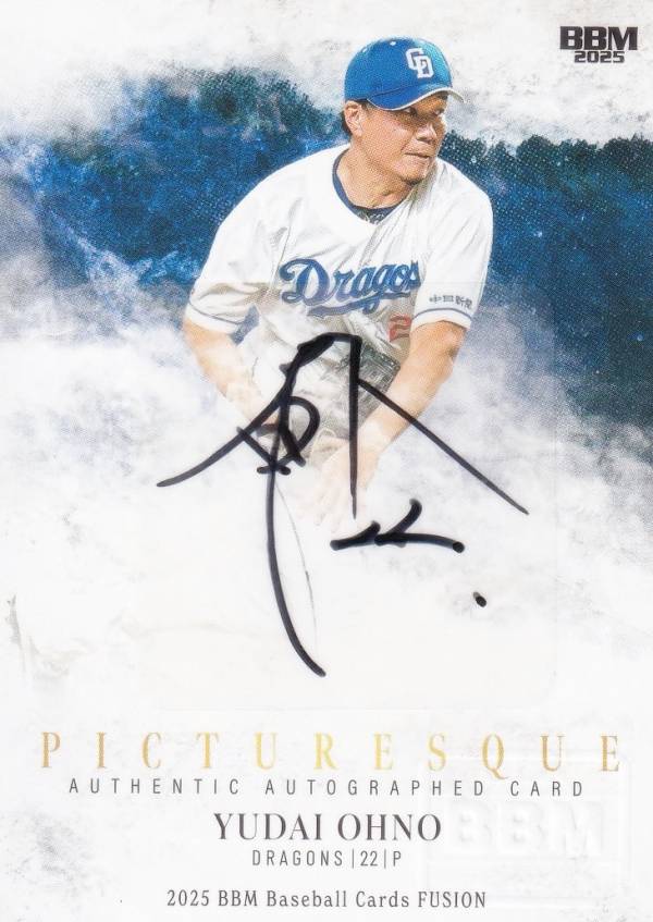 楽天市場】大野雄大 サイン カードの通販