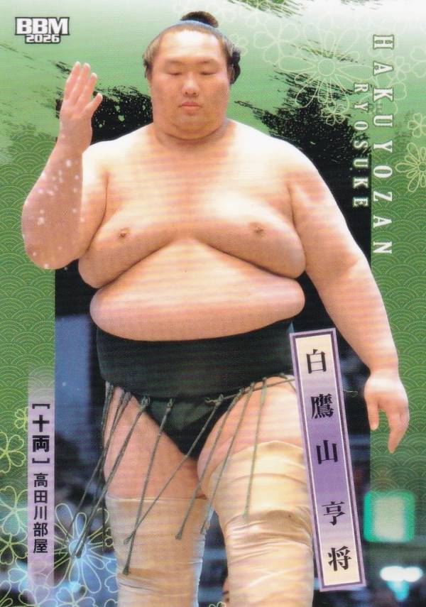 BBM 2026 大相撲カード 61 白鷹山 亨将 十両 (レギュラーカード)