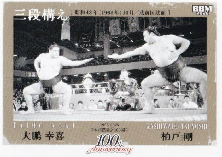 楽天市場】大相撲 大鵬の通販