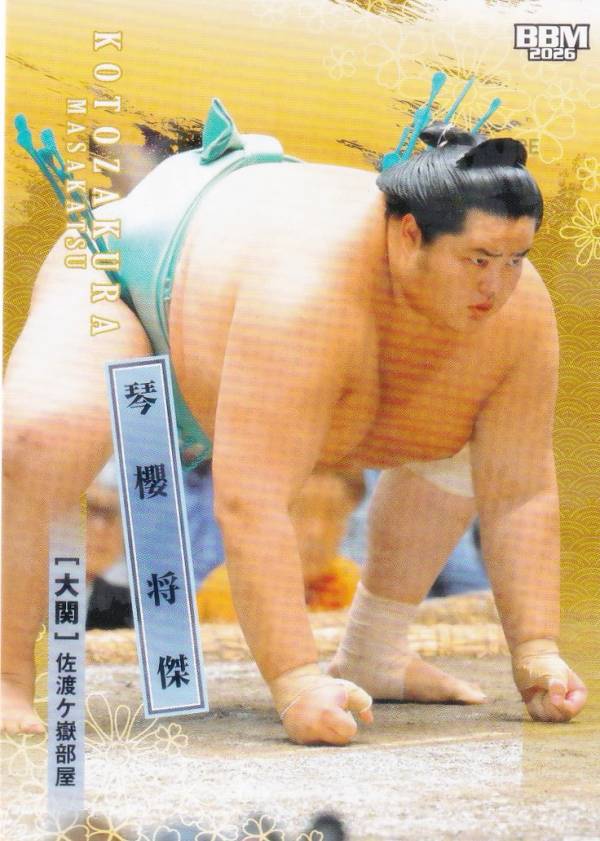 楽天市場】琴桜（ホビー）の通販