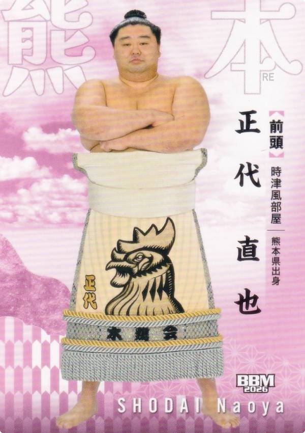 楽天市場】相撲 正代の通販