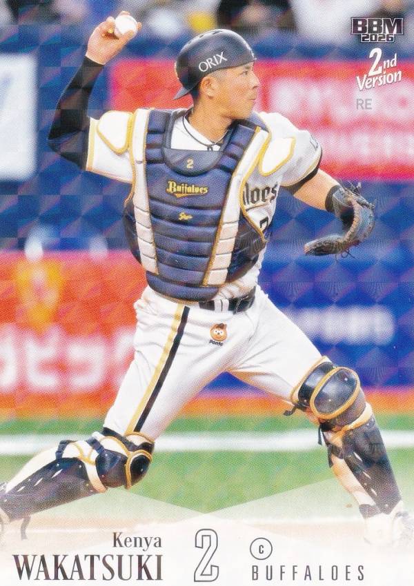 若月健矢    オリックスバファローズ選手カードコンプリートセット2019 楽天市場】若月健矢 バファローズ（トレーディングカード・テレカ