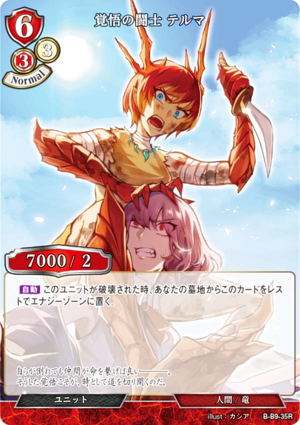 �ӥ�ǥ��Х���TCG B-B9-35R �и��Ʈ�� �ƥ�� (R �쥢) �֡��������ѥå���9�� �Ȥ�Ǥ�����˾