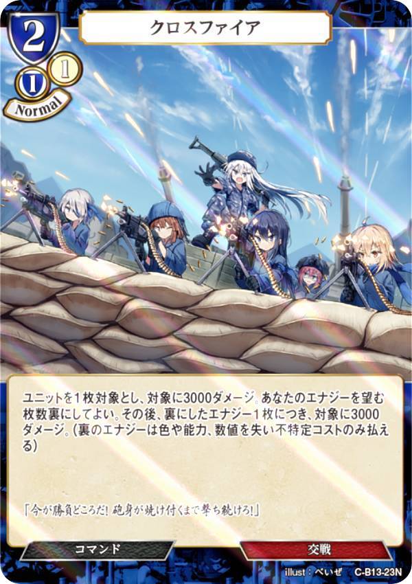 �ڥѥ���ۥӥ�ǥ��Х���TCG C-B13-23N �������ե����� (N �Ρ��ޥ�) �֡��������ѥå���13�� �񤨡���˾�βΤ�Τ���
