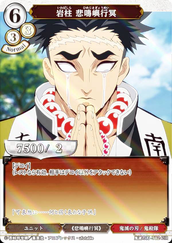 ڥѥۥӥǥХTCG Ǥο-TB2-41R  ٹ̽ (R 쥢) åץ֡ Ǥο Vol.2