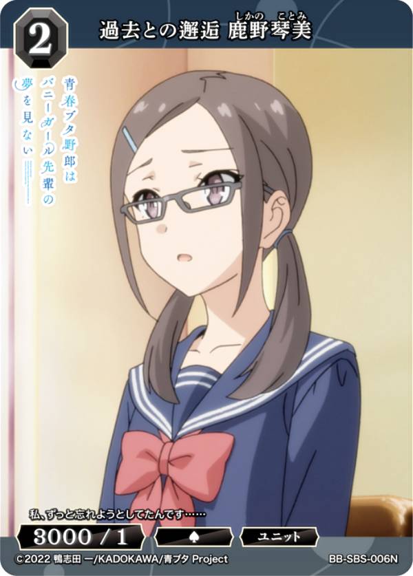 REALiZE ȥ쥫ۥӡŷԾŹ㤨֥ӥǥХTCG ֥饤 BB-SBS-006N Ȥ  (N Ρޥ ֡ѥå ˥ Ľե֥Ϻ ꡼פβǤʤ30ߤˤʤޤ