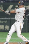 プロ野球チップス2020 第2弾 reg-113 吉川尚輝 (巨人/レギュラーカード)