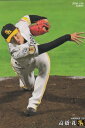 プロ野球チップス2020 第3弾 reg-155 高橋　礼 (ソフトバンク/レギュラーカード)の商品画像