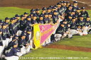 プロ野球チップス2022 第1弾 C-01 ヤクルト：日本シリーズ優勝 (チェックリストカード)