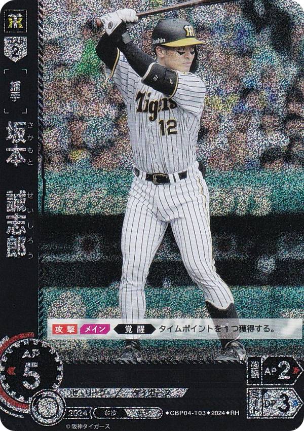 �ڥѥ���ۥɥ꡼�४������ CBP04-T03 ���ܡ�����Ϻ ������������� (RH �쥢�ۥ�) �ץ���奫���ɥ����� �����꡼�� �֡��������ѥå� 2024 Vol.4