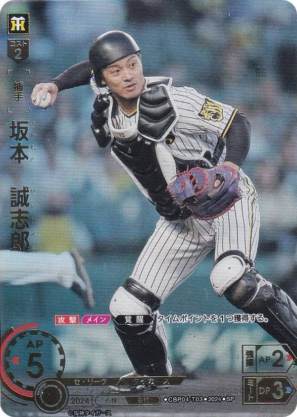 �ڥ��ڥ����ѥ���ۥɥ꡼�४������ CBP04-T03 ���ܡ�����Ϻ ������������� (SP ���ڥ����) �ץ���奫���ɥ����� �����꡼�� �֡��������ѥå� 2024 Vol.4