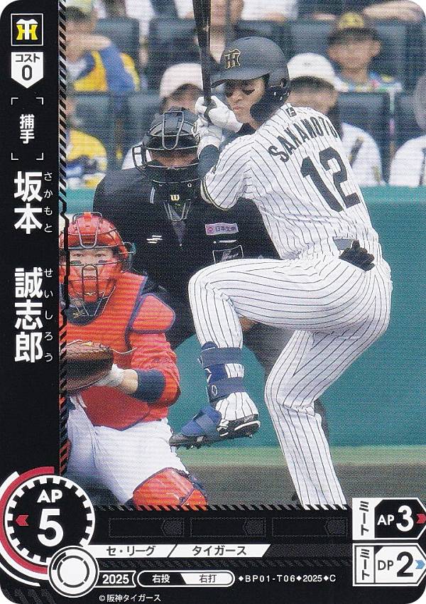 �ɥ꡼�४������ BP01-T06 ���ܡ�����Ϻ ������������� (C �����) �ץ���奫���ɥ����� 12���ĥ֡������� HEROES of 2025