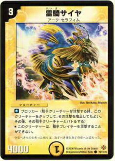 ڥץ쥤ѡۥǥ奨ޥ DM19 73/110 ()š