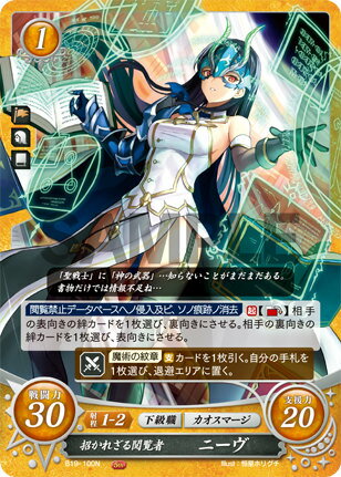 �ե�����������֥�� �����ե� B19-100 �����줶������� �ˡ��� (N �Ρ��ޥ�) �֡��������ѥå� ��19�� ��ŷ������