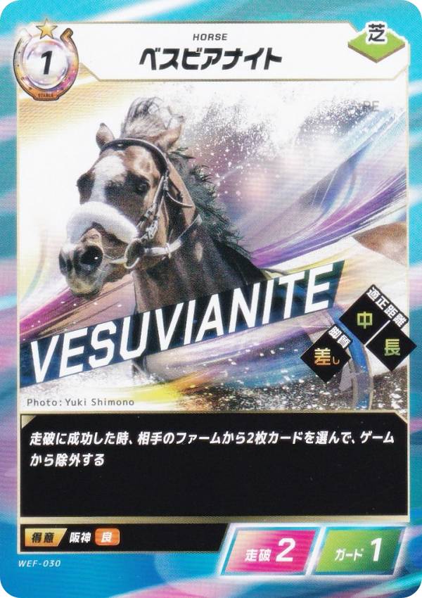 楽天市場】ベスビアナイトの通販