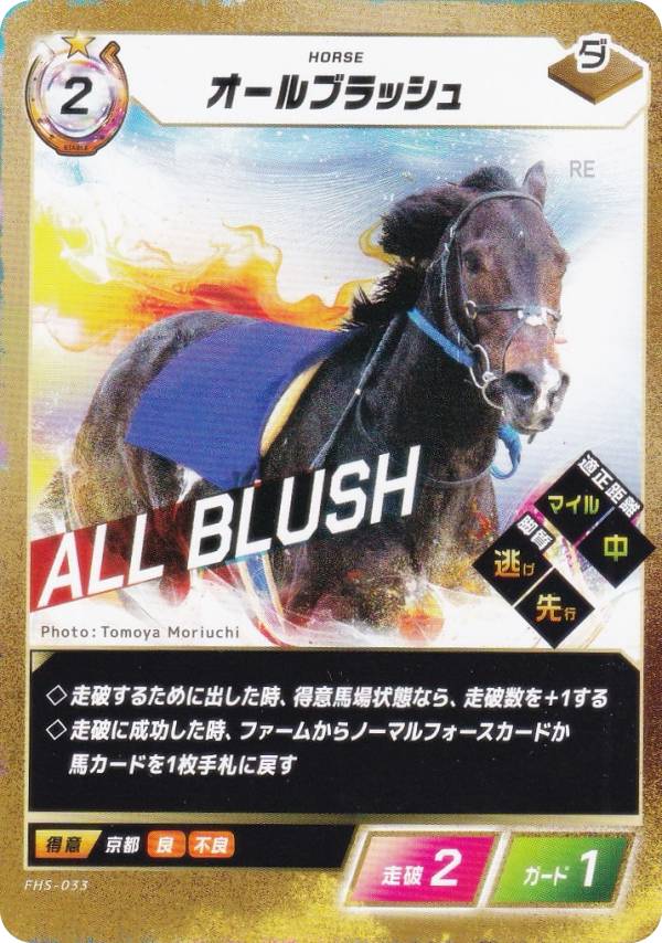 REALiZE �ȥ쥫���ۥӡ���ŷ�Ծ�Ź���㤨��֥ե����������֡������ۡ��� FHS-033 ������֥�å��� (N �Ρ��ޥ� �֡��������ѥå���4�� GO FASTER�פβ����Ǥ������ʤ�100�ߤˤʤ�ޤ���